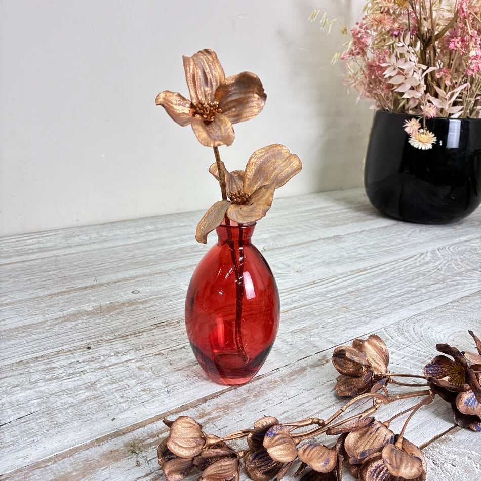 Vase rot