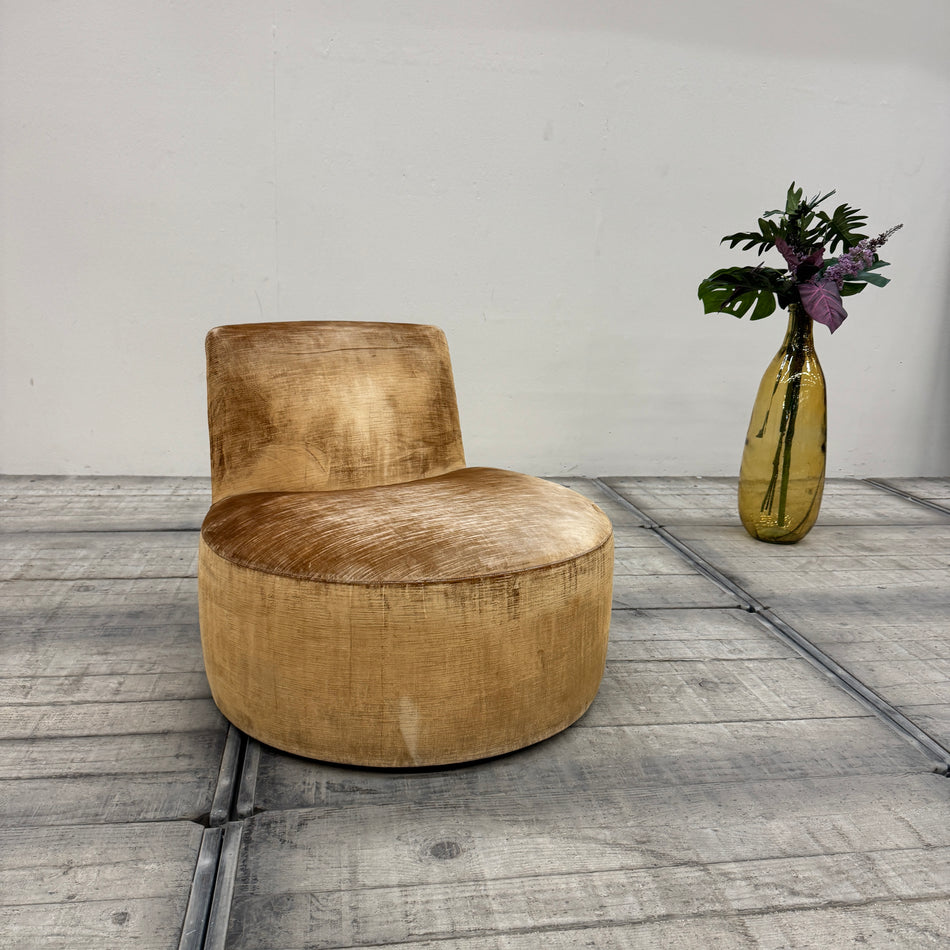 Tacchini Italia Designer Lounge Sessel Samt Senfgelb / Ocker Gebraucht