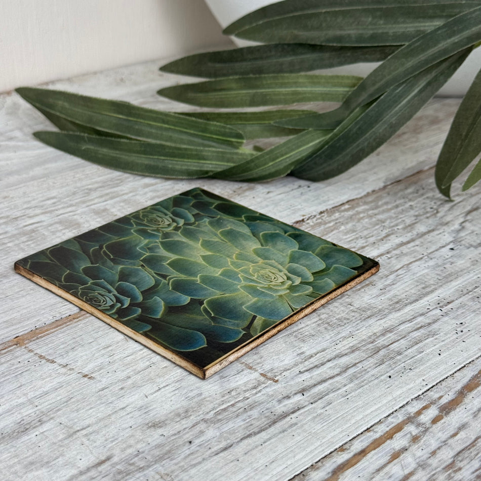 Untersetzer Sukkulente Echeveria Holz Quadratisch 10x10 Deko Küchenbedarf