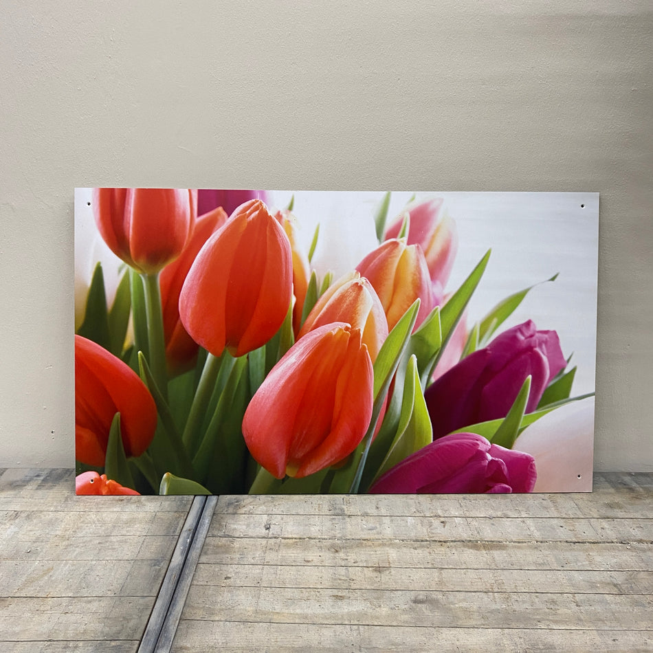 Wandbild Alu-Dibond Tulpen Fotodruck Natur 120x70 Bild gebraucht