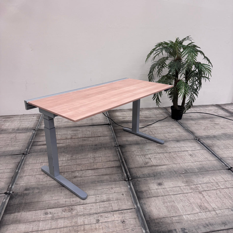 VS Schreibtisch Holzoptik Grau Elektrisch Höhenverstellbar Gebraucht