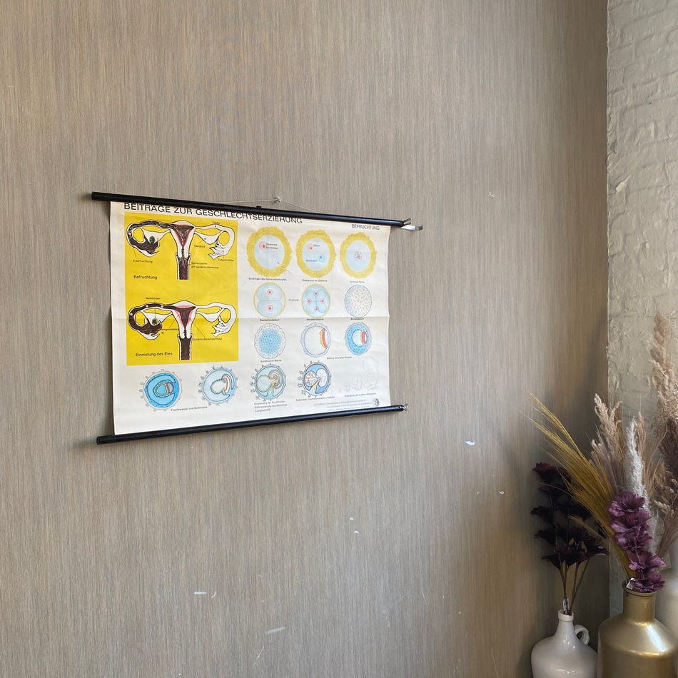 Schulkarte Beiträge zur Geschlechtserziehung Befruchtung Biologie Lehrkarte gebraucht