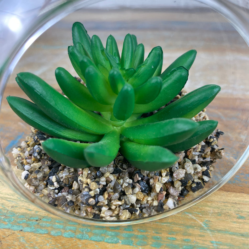 Sedum Sukkulente Kunstpflanze grün im Glas aufhängbar Deko 11cm