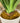 Aloe Nelle grün Kunstpflanze Pflanze  weiß getopft