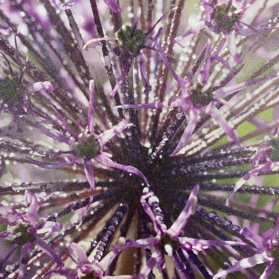 Wandbild Fotodruck auf Leinwand 
Blume lila