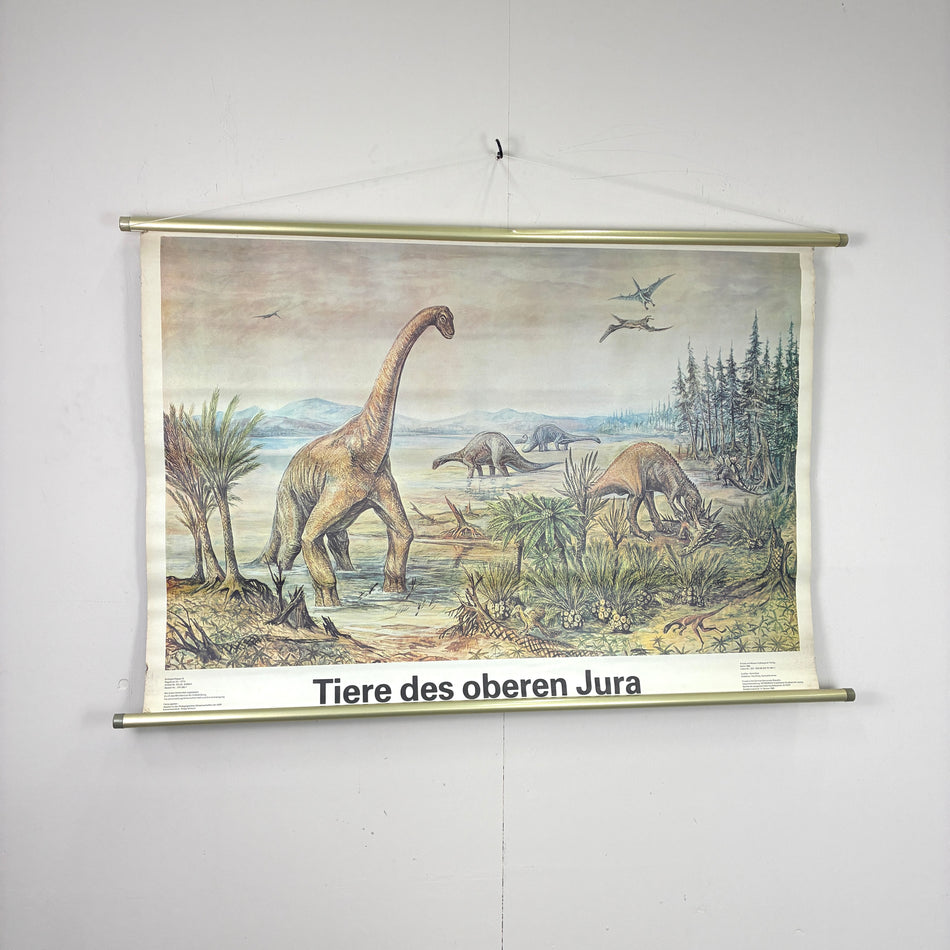 Vintage Schulkarte – Tiere des oberen Jura – Paläontologie Lehrtafel Rollbild Wanddeko