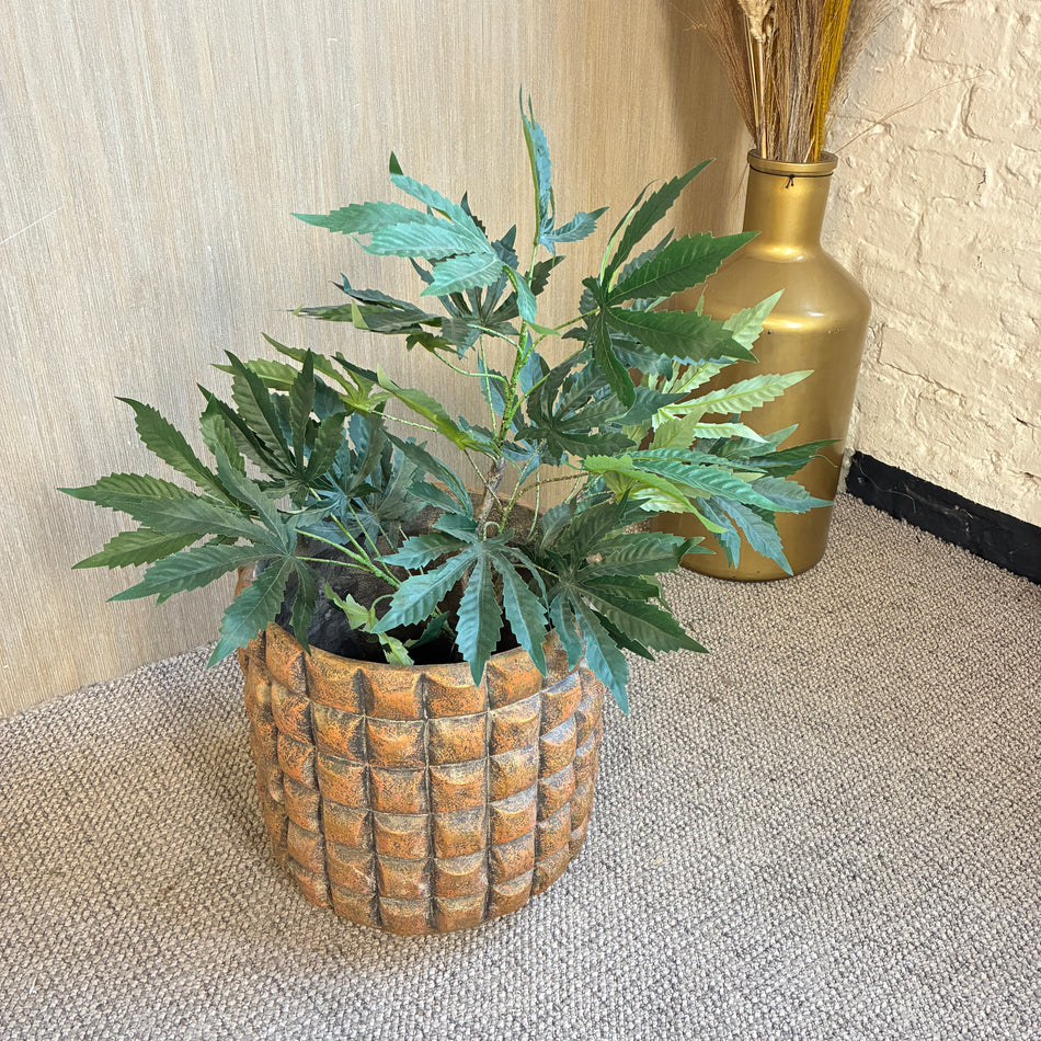 PTMD Blumentopf William braun Zement 32cm