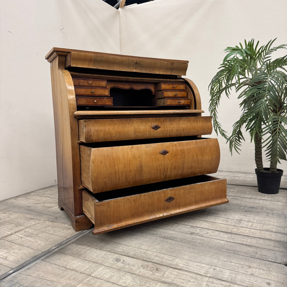 Biedermeier Sekretär Zylinderschreibtisch Rollbüro Ulme 1. Hälfte 19. Jh. Antik Vintage