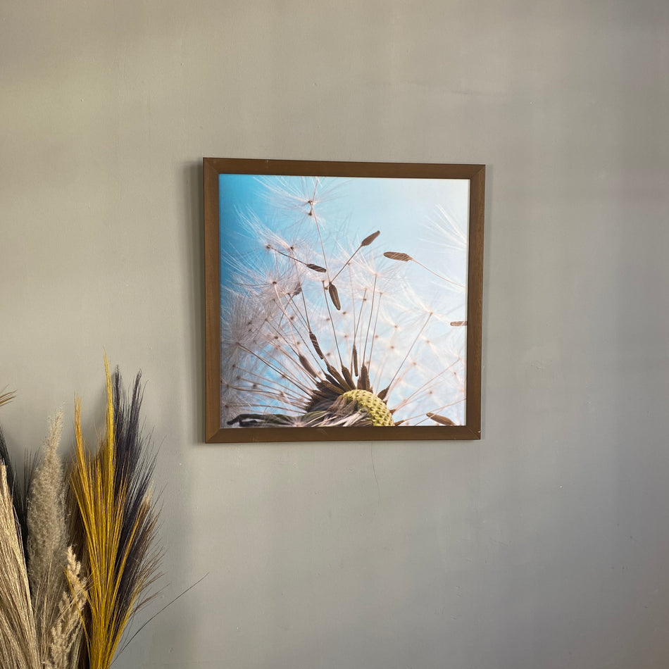 Wandbild gebraucht  Pusteblume Fotodruck Natur Holz Rahmen