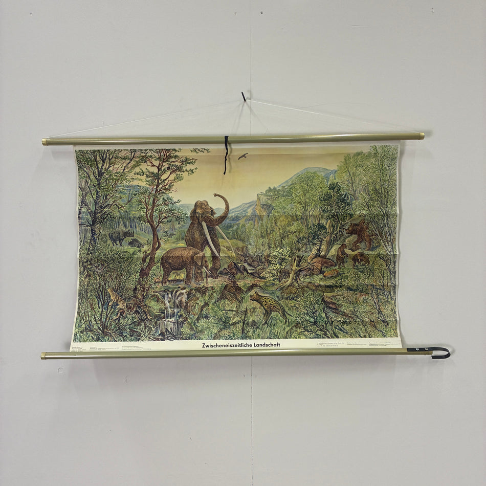 Vintage Schulkarte Zwischeneiszeitliche Landschaft Mammut Rollbild DDR Wanddeko