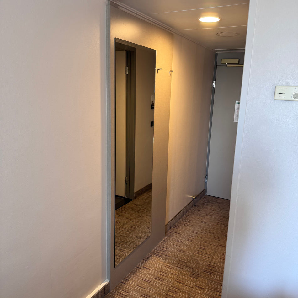 Hotel Wandspiegel grau mit Garderobe Spiegel gebraucht