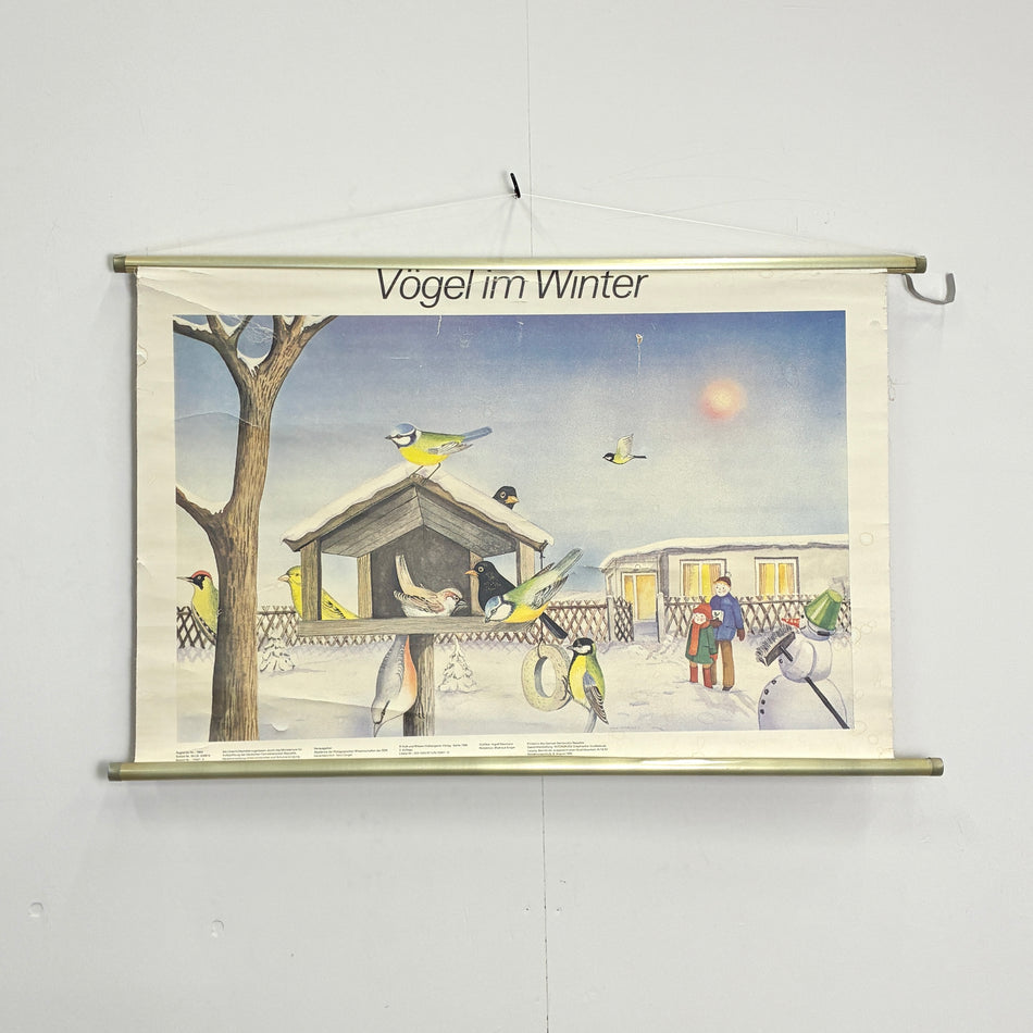 Vintage Schulkarte Vögel im Winter Rollbild Biologie Lehrtafel Wanddeko