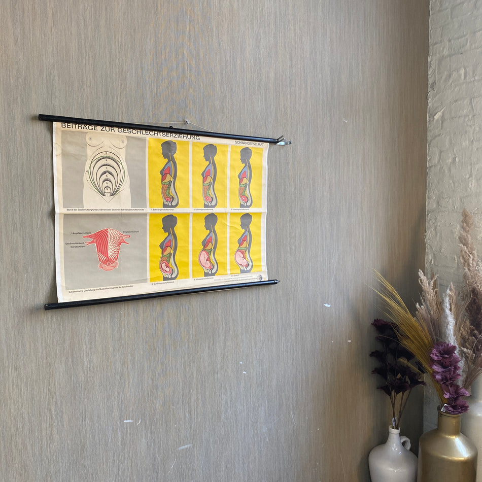 Schulkarte Schwangerschaft Beiträge zur Geschlechtserziehung Biologie Lehrkarte gebraucht