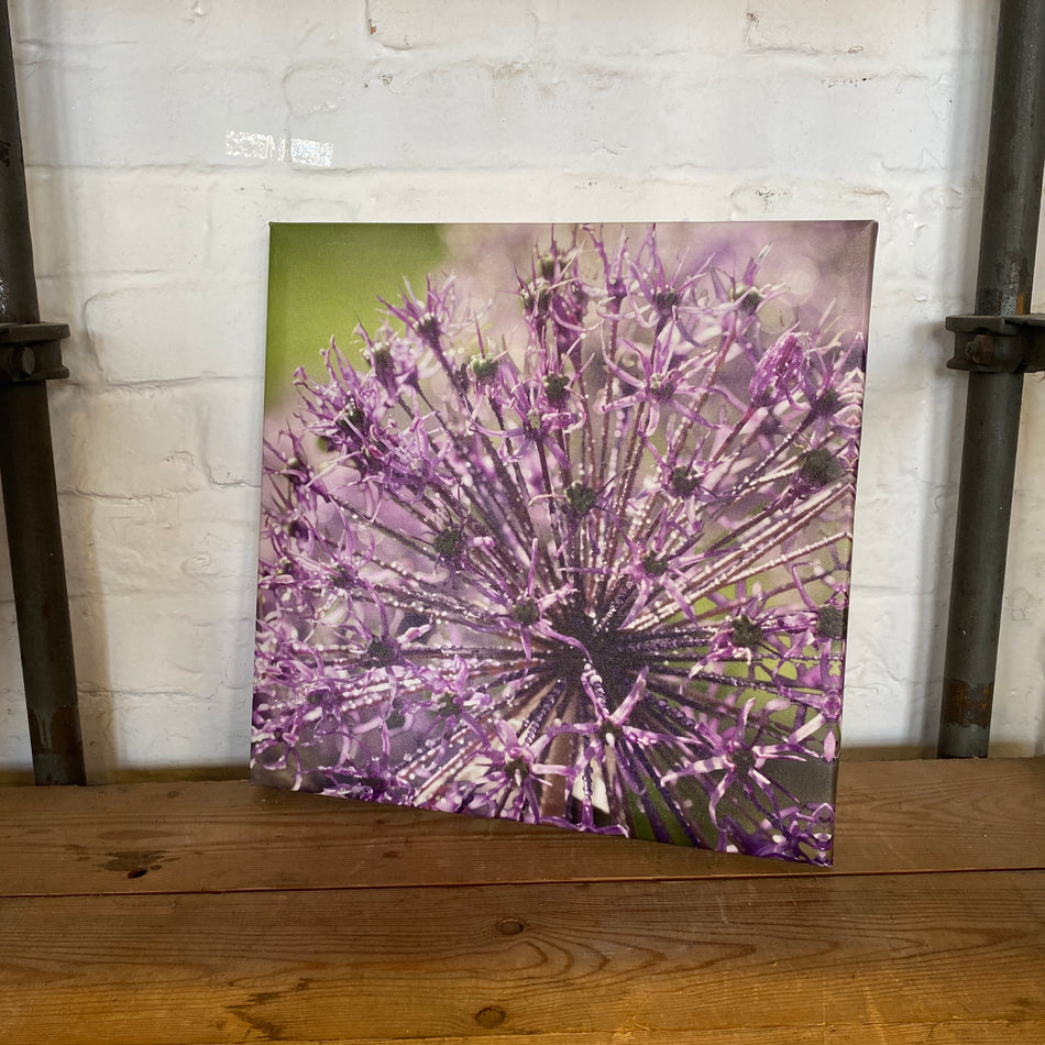 Wandbild Fotodruck auf Leinwand 
Blume lila