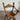 Historismus Scherenstuhl gebraucht Eiche Holz Antiquität Stuhl