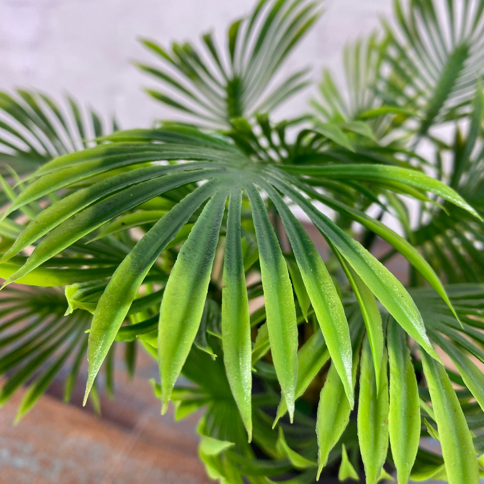 Künstliche Pflanze grün Kunststoff im Topf 25cm Palmenpflanze