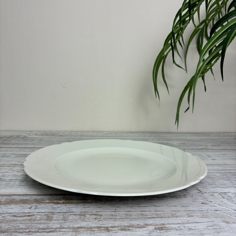 Seltmann Weiden Marie Luise Speiseteller 25 cm Elfenbein