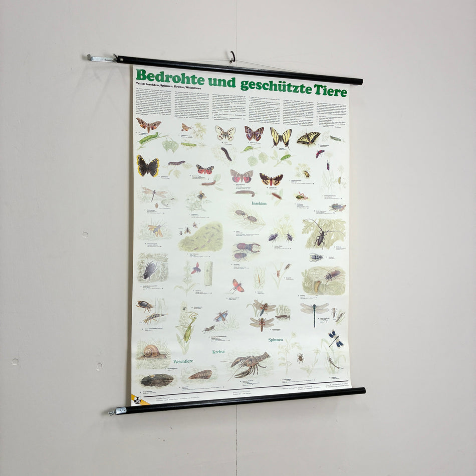 Vintage Schulkarte Bedrohte und geschützte Tiere Biologie Rollbild Schreiber Lehrtafel Wanddeko