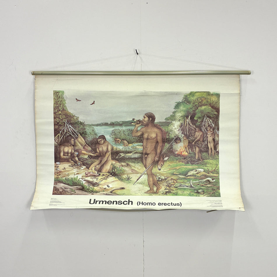 Vintage Schulwandkarte „Urmensch (Homo erectus)“ – Lehrtafel Rollbild Wanddeko