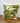 Kissen tropical grün 45x45 Dekokissen exotisch Zierkissen