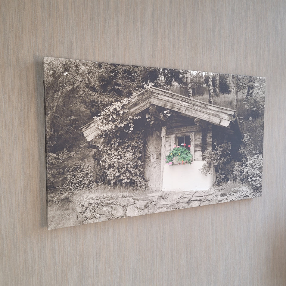 Wandbild Leinwand Fotodruck sepia grün 110x63 Bild