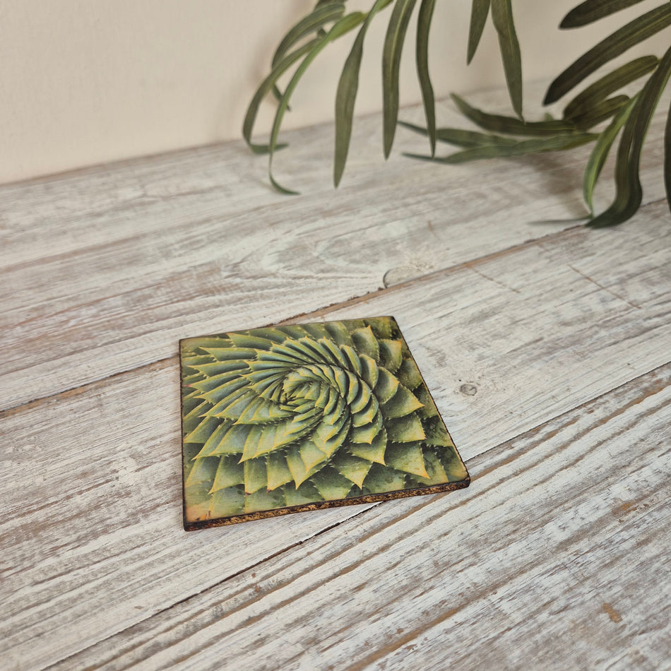 Untersetzer Sukkulente Agave Holz Quadratisch 10x10 Deko Küchenbedarf