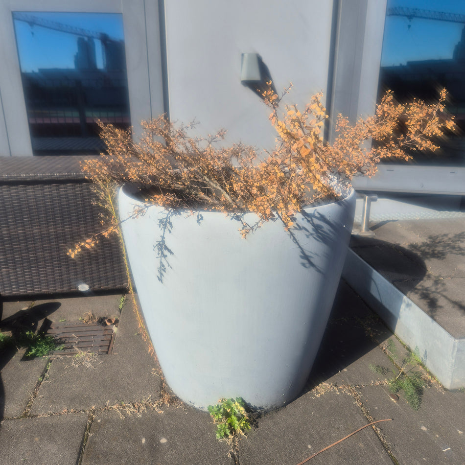 Blumenkübel