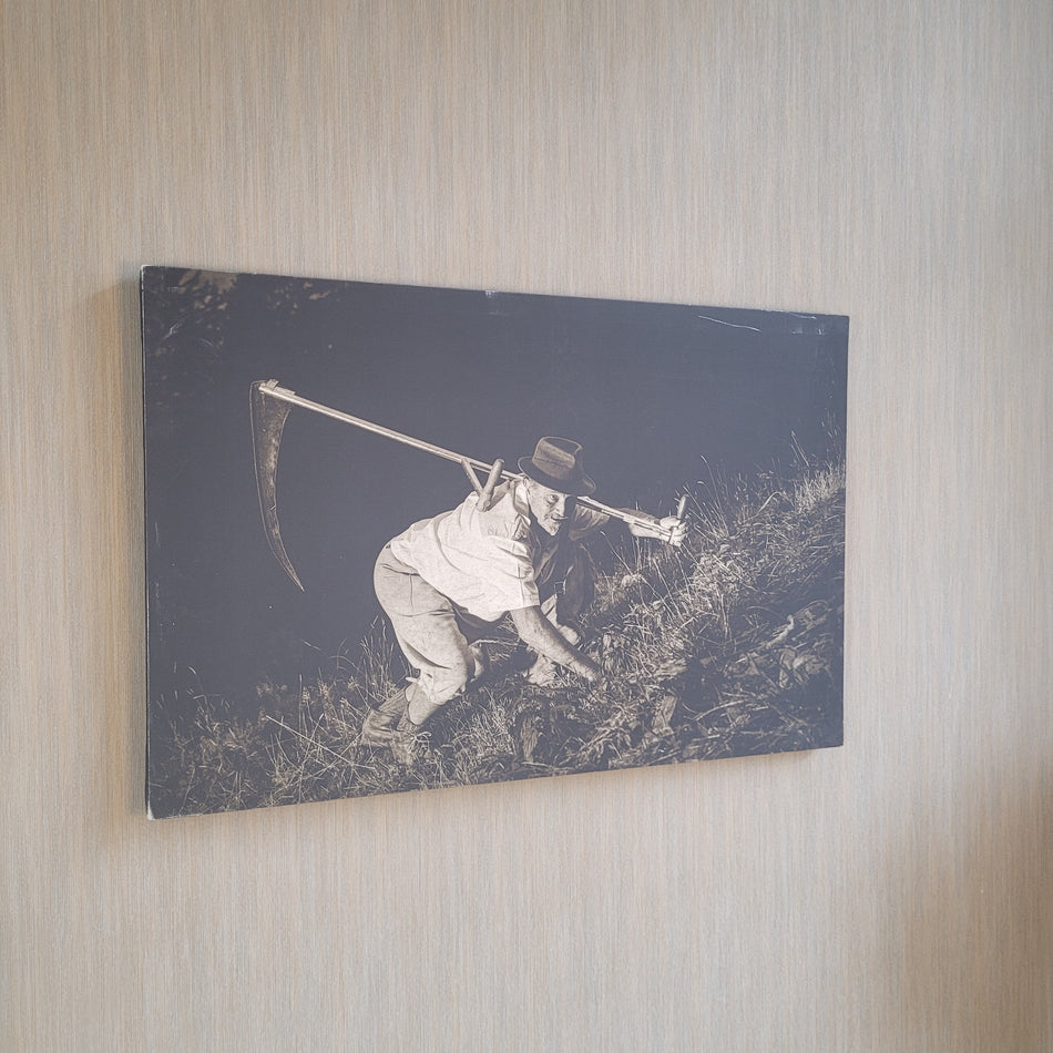 Wandbild Leinwand Fotodruck sepia Bild 100x65