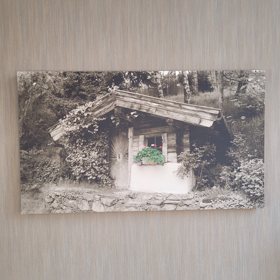 Wandbild Leinwand Fotodruck sepia grün 110x63 Bild