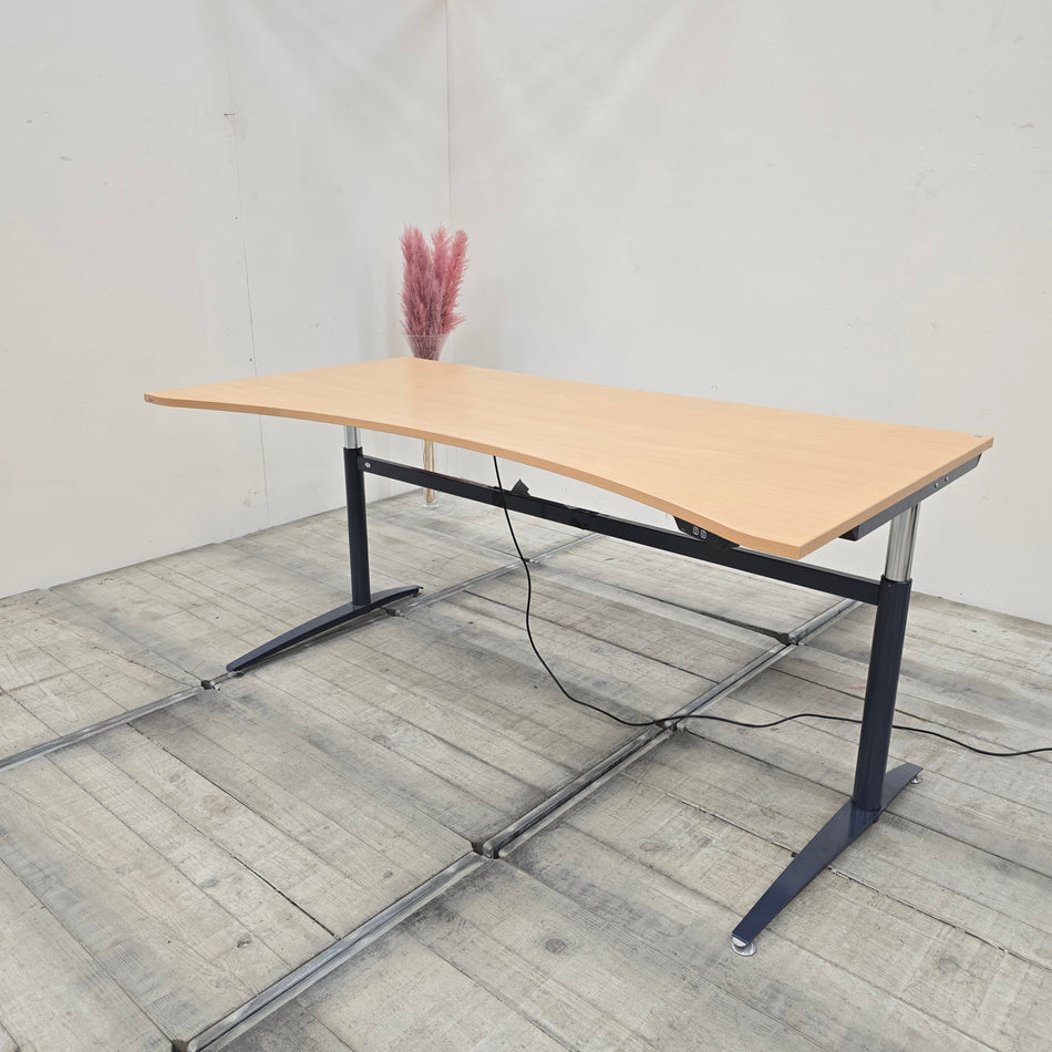 Assmann Elektrisch Höhenverstellbarer Schreibtisch Freiform Holz Braun Tisch Gebraucht