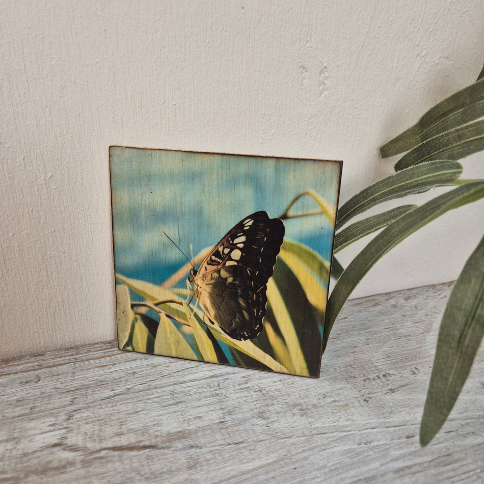 Untersetzer Schmetterling Kleiner Fuchs Holz 10 x 10 cm