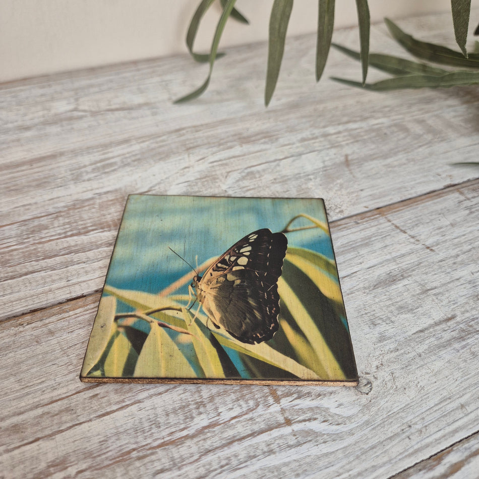 Untersetzer Schmetterling Kleiner Fuchs Holz 10 x 10 cm