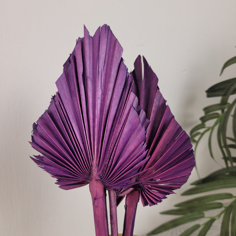 Deko Palmblätter Bündel 4 Stück Lila Getrocknet Boho Blumen Dekoration Neu