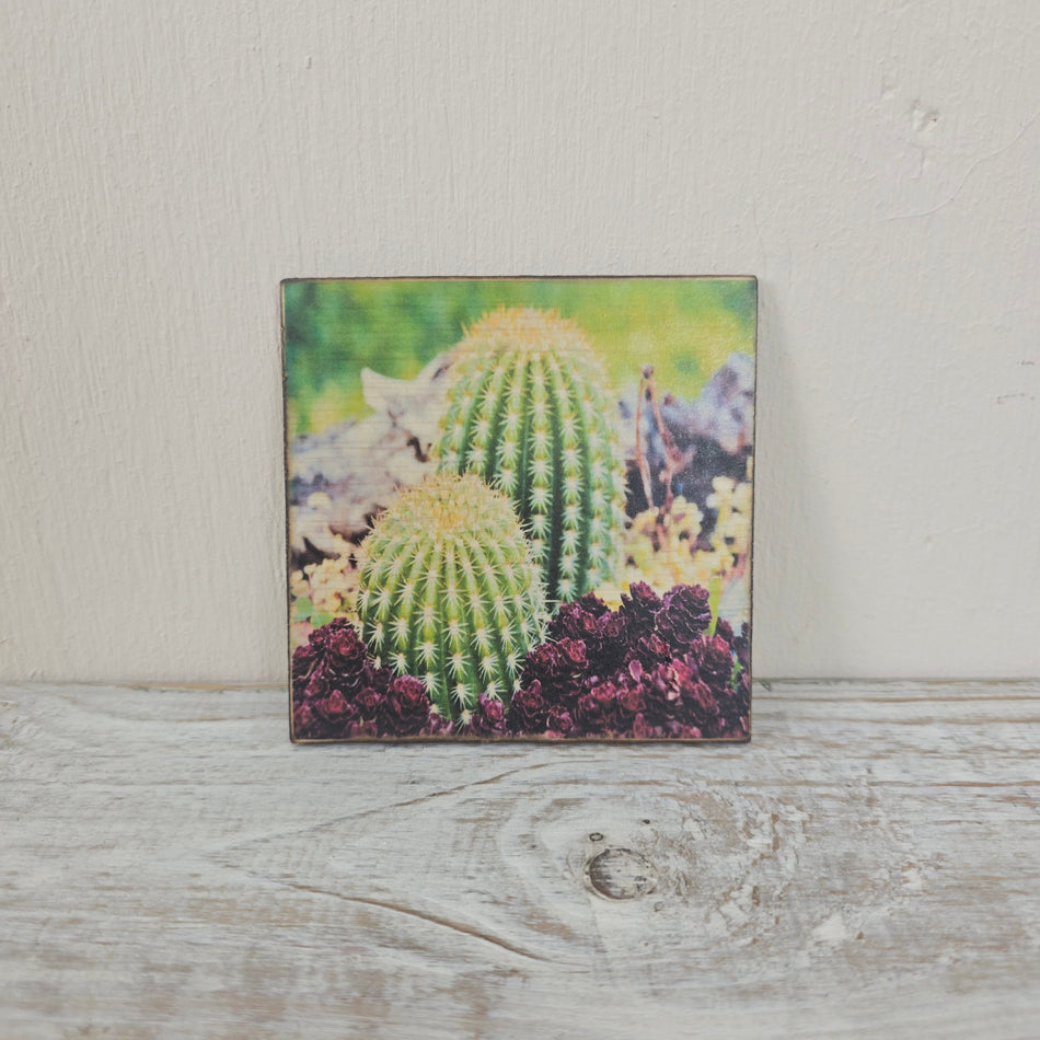 Glasuntersetzer 10x10cm Grün Mehrfarbig Holz Kaktus-Motiv Untersetzer Deko