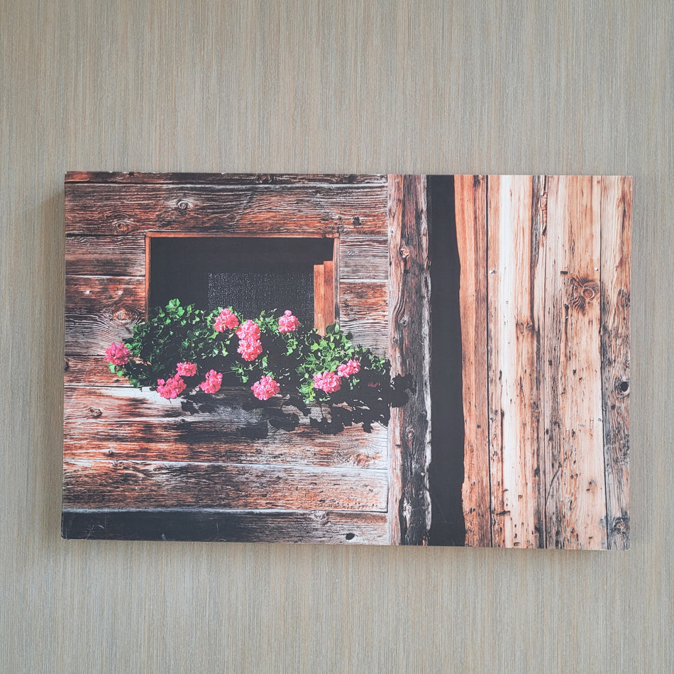 Wandbild gebraucht Leinwand Fotodruck 70x45 Bild
