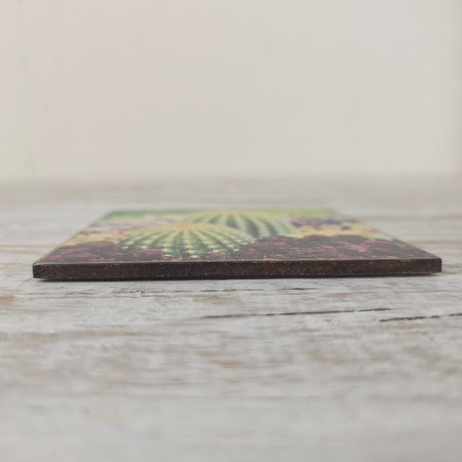 Glasuntersetzer 10x10cm Grün Mehrfarbig Holz Kaktus-Motiv Untersetzer Deko